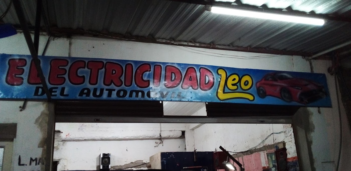 Electricidad Del Automovil Leo